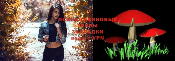 прущие грибы Волосово