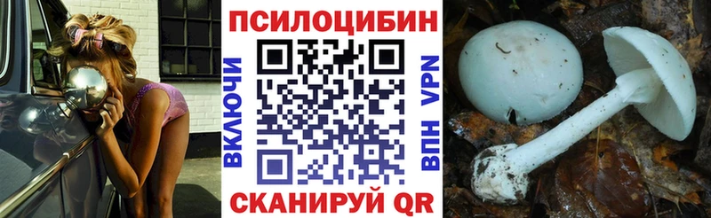 Псилоцибиновые грибы Cubensis  darknet формула  Нерехта 